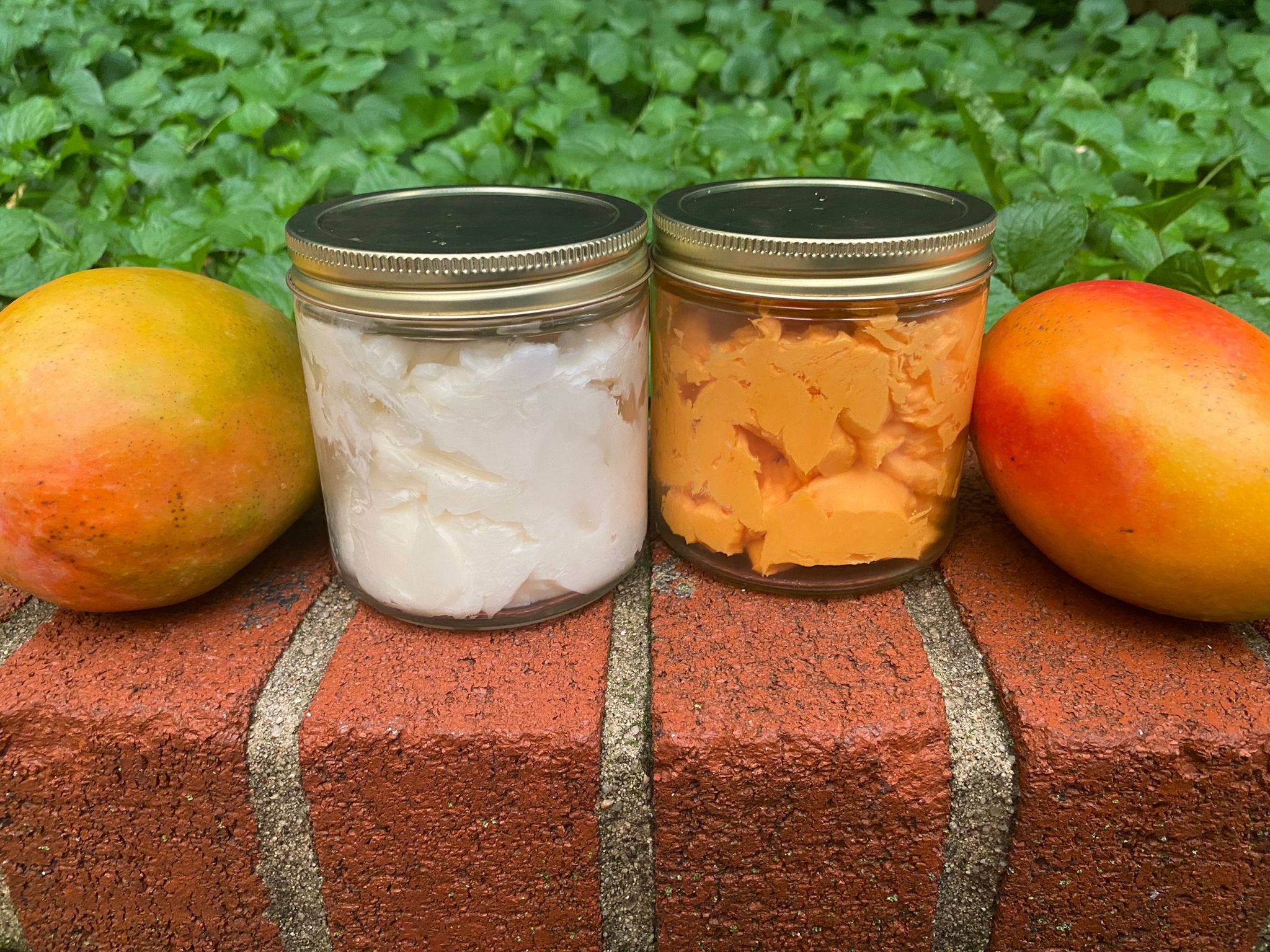 Two mangos on both sides of two glass jars, each filled with organic mango butter. One of the left is white, the one on the right is close to its natural color.